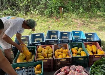 Programa de Aquisição de Alimentos – PAA, gera renda para agricultores familiares e beneficia famílias carentes do município em Ponto Belo