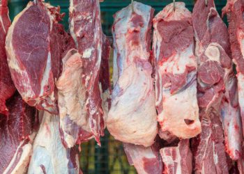 Brasil comemora a abertura do mercado canadense para carne brasileira