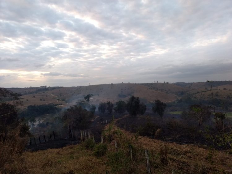 Incêndio é responsável pela destruição de 150 hectares entre Nova Venécia e Boa Esperança