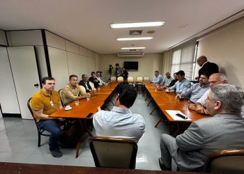 Assembleia aprova projeto de lei que reduz taxas de emplacamento para locadoras de veículos