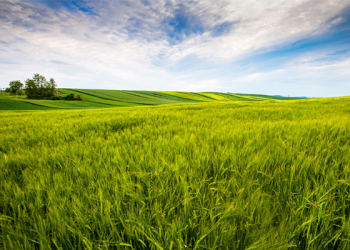 Proprietários de terras têm bens bloqueados em até R$ 22,5 milhões por crimes ambientais