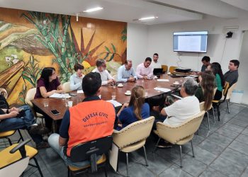 Comitê gestor da influenza aviária delibera pela prorrogação do Estado de Emergência no Espírito Santo