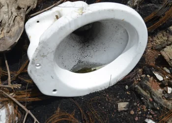 Em uma semana, casos prováveis de dengue sobem de 120 mil para 217 mil