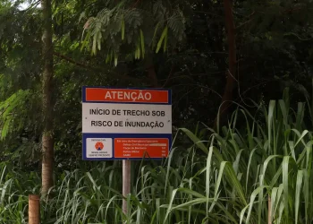 Ex-presidente da Vale sabia dos riscos e nada fez, diz delegado