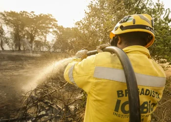 Mais de 17,3 milhões de hectares foram queimados em 2023 no país