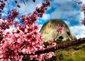 Espírito Santo é premiado como terceiro estado mais acolhedor do Brasil