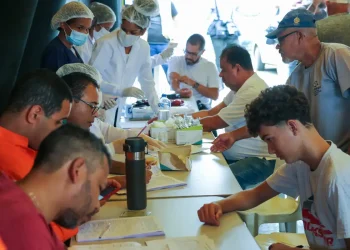 Brasil já registra metade dos casos de dengue contabilizados em 2023