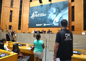CPI quer inquérito para apurar maus-tratos a cão no ES