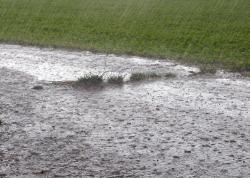 Chuva acima da média em janeiro aumenta umidade do solo no Nordeste e Sudeste