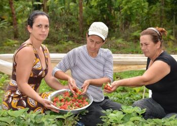 Incaper e parceiros vão promover eventos para valorização e empoderamento da mulher rural