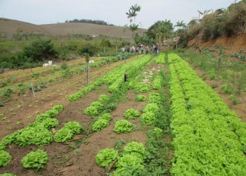 Agricultores de Ecoporanga se regularizam para venda direta de produtos orgânicos