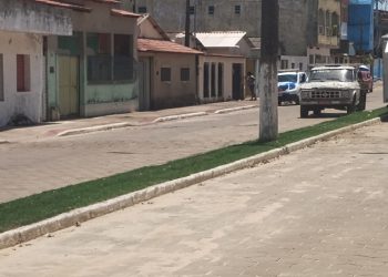 Homem morre ao cair de árvore em Pinheiros