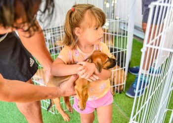 Capital Capixaba: Parque recebe 40 cães e gatos para adoção neste sábado (02)