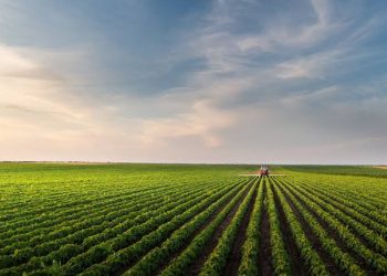 Produtores de 16 estados poderão renegociar dívidas do crédito rural