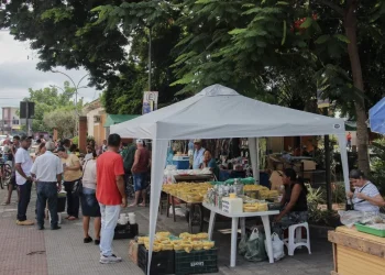 Feira Agroecológica no centro de Montanha impulsiona a economia local