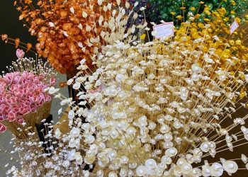Artesanato capixaba movimenta economia no Espírito Santo
