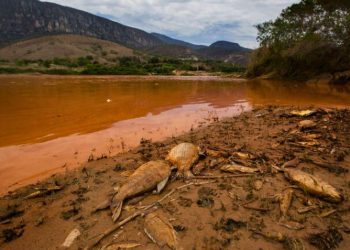 Fundação é multada por negar pagamento de auxílio financeiro aos atingidos pelo desastre de Mariana