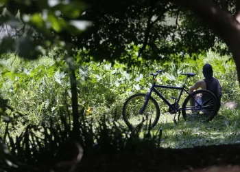 Outono chega com temperaturas acima da média em todas as regiões