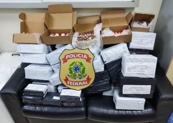 PF desmantela laboratório clandestino de anabolizantes no ES