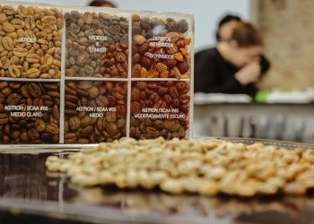 Feira ES+Café promove imersão no universo da cafeicultura capixaba