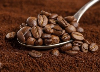Preocupações globais impulsionam cotações do café arábica e robusta
