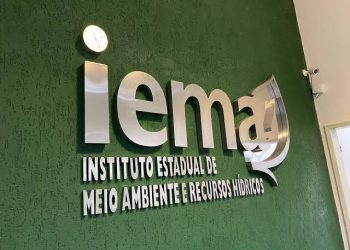 Iema publica edital de processo seletivo para nível superior