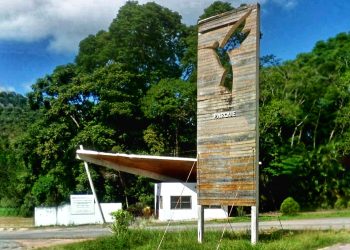 Ministra vem ao Estado conhecer local onde será construído Ecoparque Augusto Ruschi