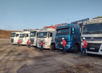 Suzano busca ampliar participação de micro e pequenas empresas no transporte de madeira no ES, BA e MG