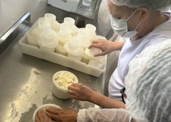 Curso prepara agroindústrias de queijo para regularização no norte e no noroeste do Estado