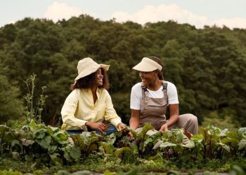Aplicações de Crédito Rural no Espírito Santo alcançam R$ 5,9 bilhões em dez meses
