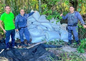 PM recupera 35 sacas de café e trator roubados em Boa Esperança