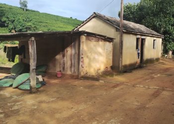 Ação resgata 11 trabalhadores em condições degradantes na lavoura de café em Rio Bananal