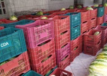 Nova Venécia lança edital para seleção de agricultores familiares para o “Programa Compra Direta de Alimentos”
