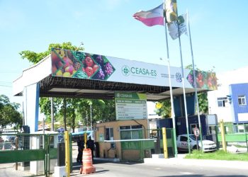 Ceasa-ES divulga edital de abertura de concurso público