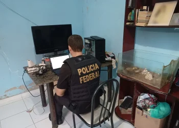 PF realiza operação e combate abuso sexual infantil por meio da internet no ES