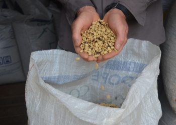 Nater Coop anuncia investimento de 8 milhões em novas estruturas de armazém de café no ES