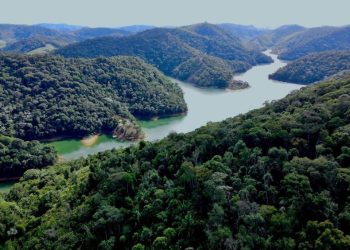 ES registra diminuição de quase 33% no número de desmatamento ilegal da Mata Atlântica