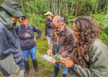 Avistamento de espécies ameaçadas e endêmicas do Espírito Santo marcam o dia da Mata Atlântica