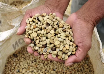 Espírito Santo exporta 636 mil sacas de café em abril