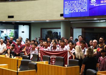 Desportiva Ferroviária pede apoio aos deputados para não perder seu estádio