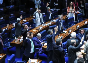 Senado aprova taxação de compras internacionais de até US$ 50