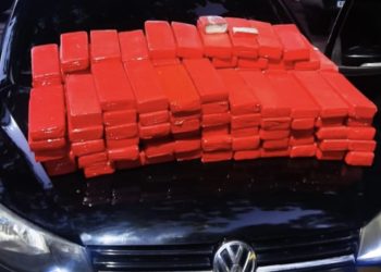 Ministério Público denuncia homem por transporte de 100 kg de maconha no ES
