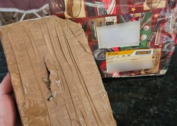 PF apreende drogas em encomenda postal no ES