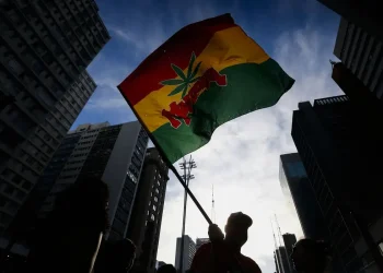 Quantidade de maconha vai diferenciar uso pessoal e tráfico