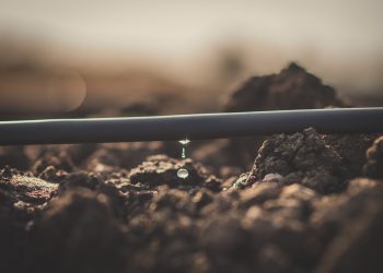 Nater Coop firma parceria para difundir irrigação por gotejamento e impulsionar a sustentabilidade na agricultura