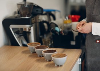 Pronova Café sediará curso de Q-Grader, um dos mais prestigiados do setor, em agosto