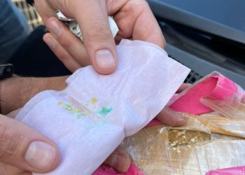 PF apreende 2,5 kg de pasta base de cocaína em encomenda postal no ES