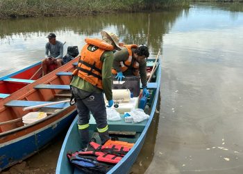 Iema recolhe amostras de água para investigar mortandade de peixes no Rio Santa Maria