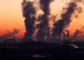 Brasil precisa avançar na proteção à saúde em casos de poluição do ar