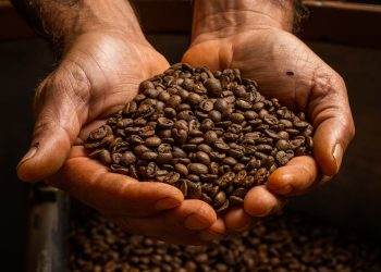 Contarato propõe zerar impostos sobre o café